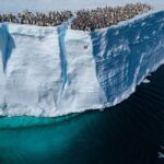 Deux chercheurs grecs embarquent pour une expédition en Antarctique