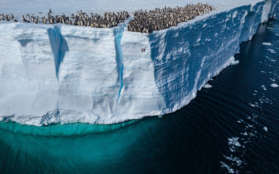 Deux chercheurs grecs embarquent pour une expédition en Antarctique